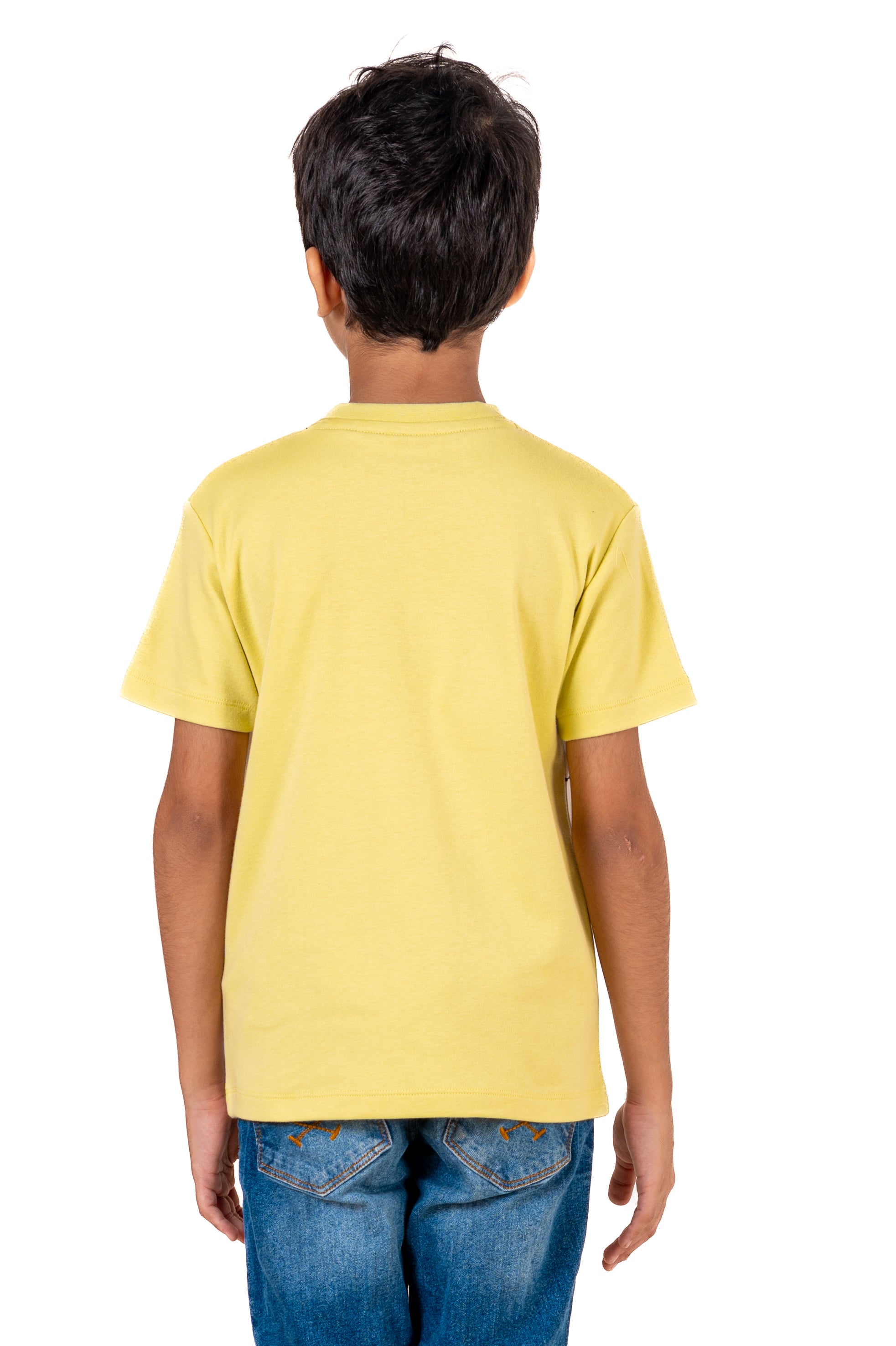 Crew Neck And Cut & Sew With Hd Print Pale Green